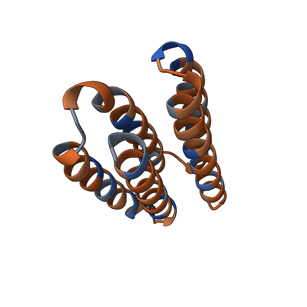 bright-tiger-bronze