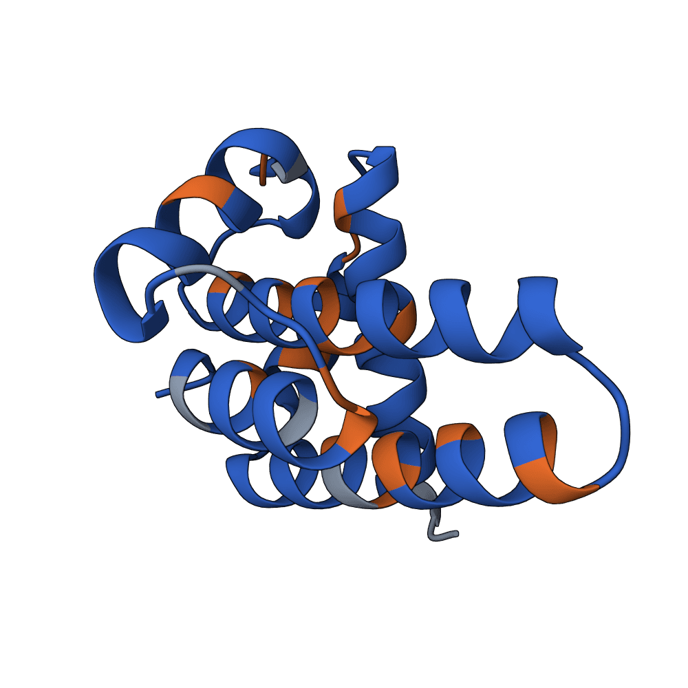 dark-fox-reed