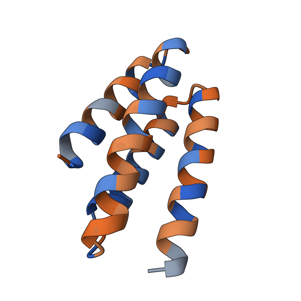 noble-lynx-pine