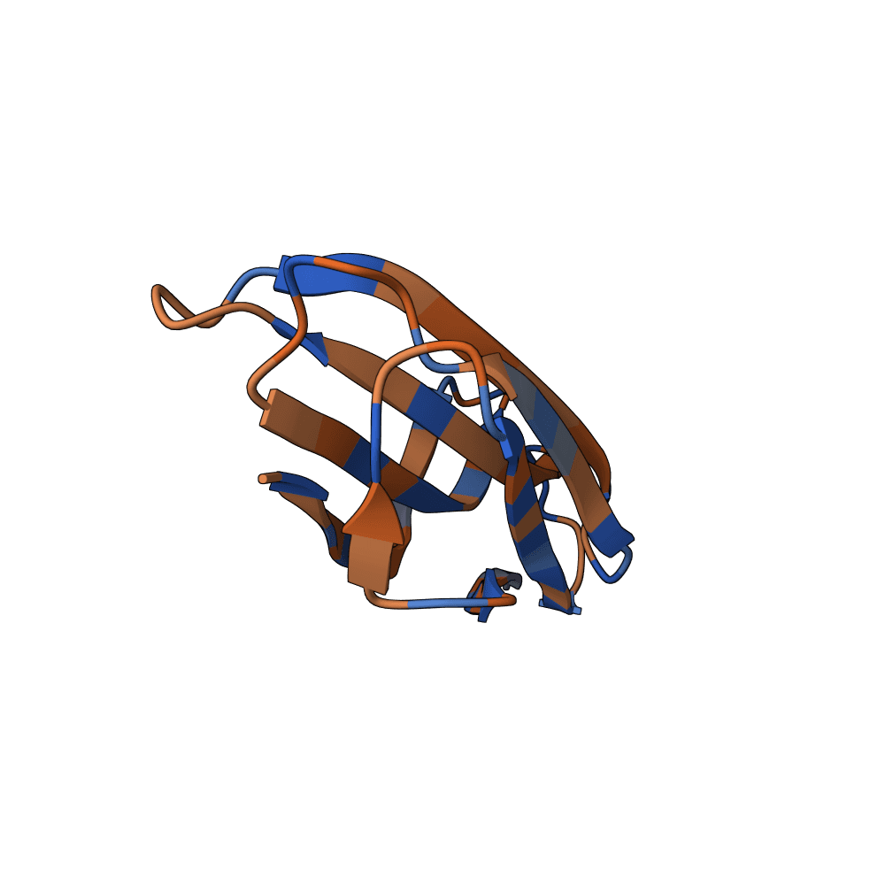 noble-raven-maple