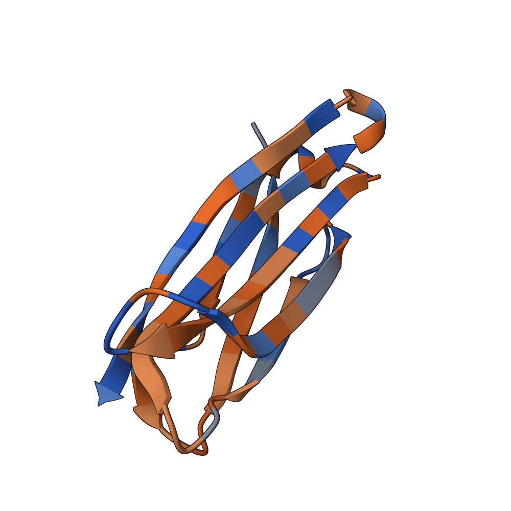noble-tiger-leaf