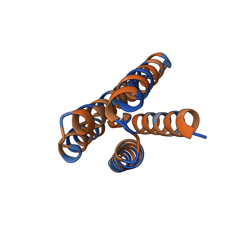 quick-gecko-ruby