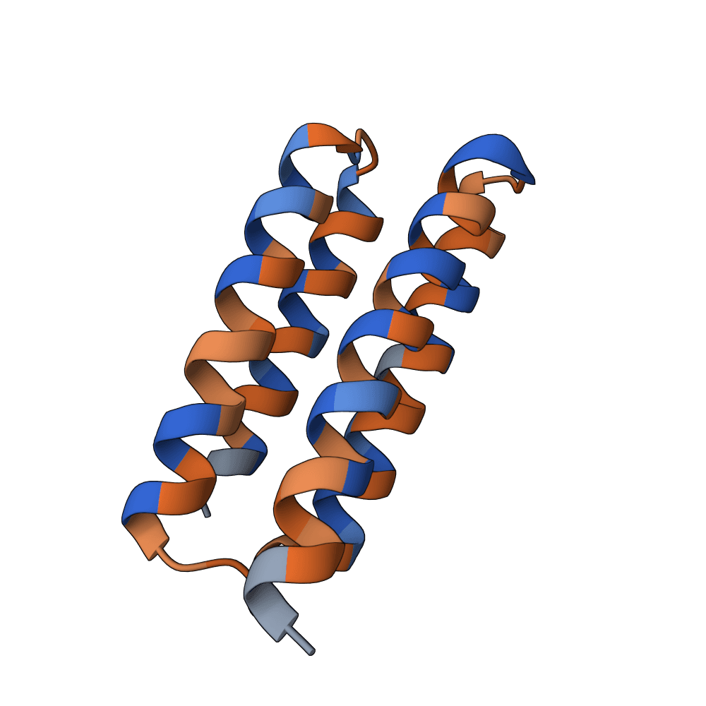 quiet-gecko-flint