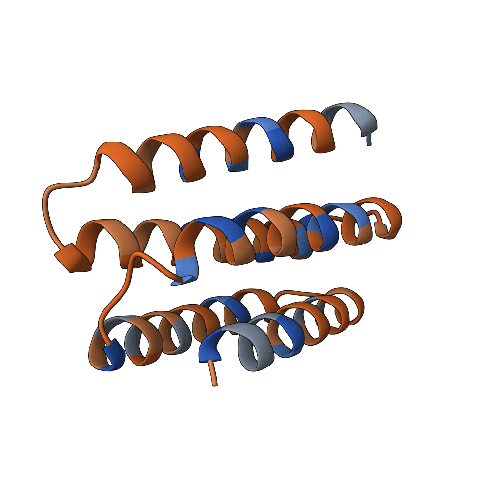 radiant-ant-wave