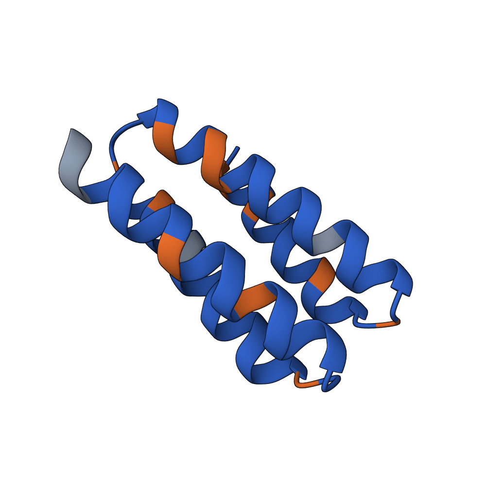 rapid-ant-cedar