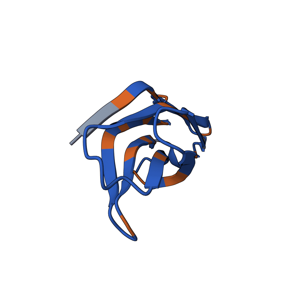 rapid-gecko-stone