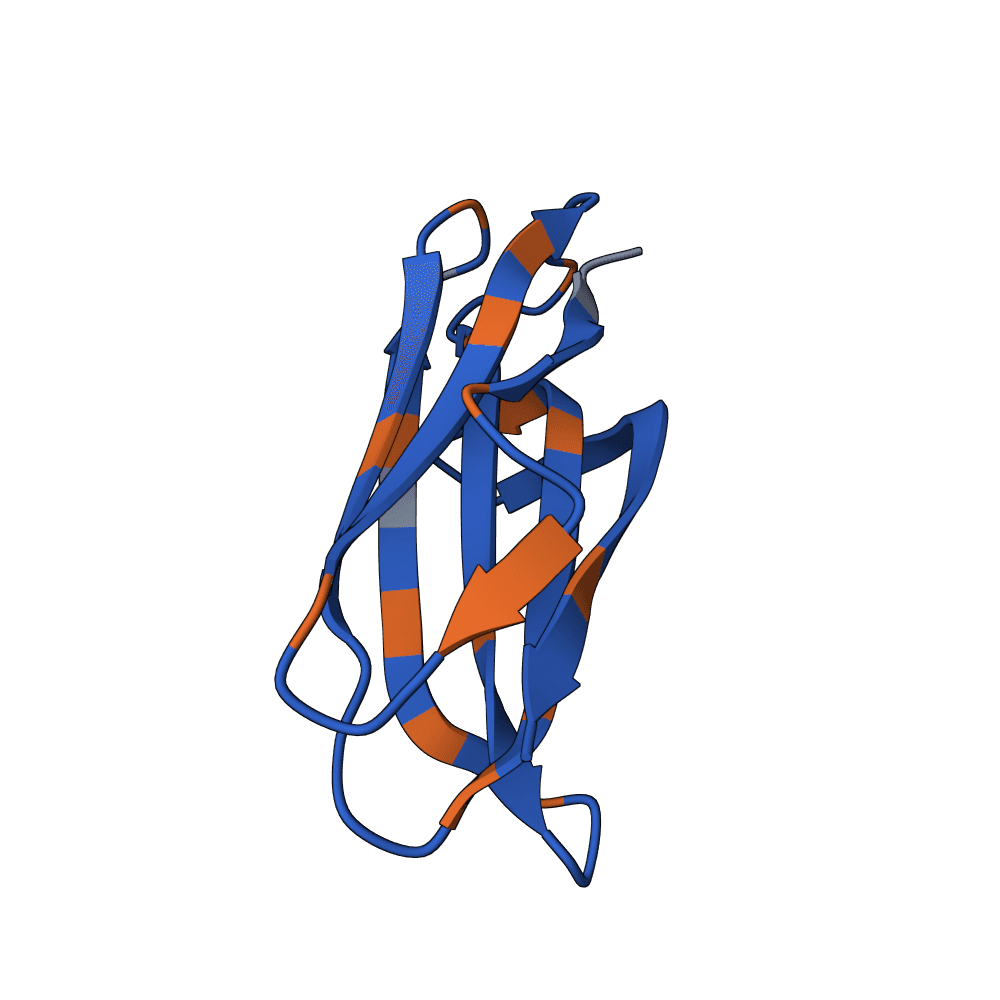 rapid-ibis-iron