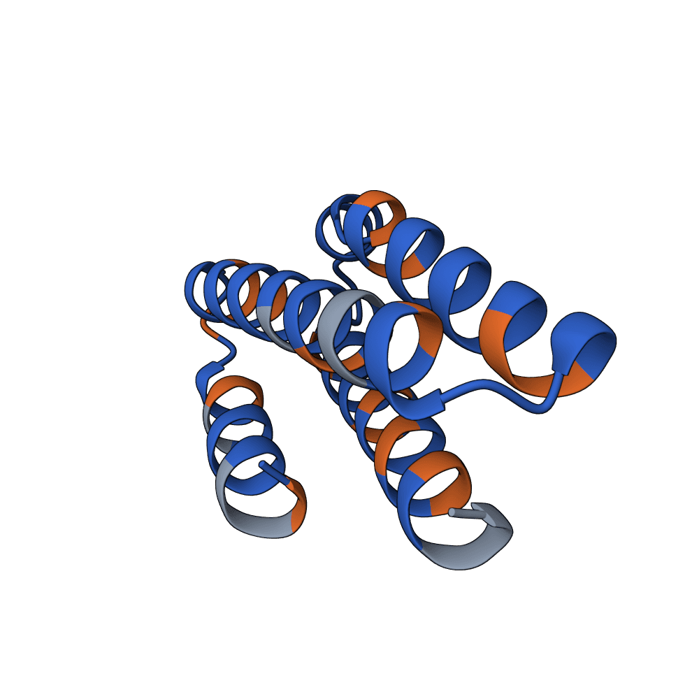 rapid-lion-plume