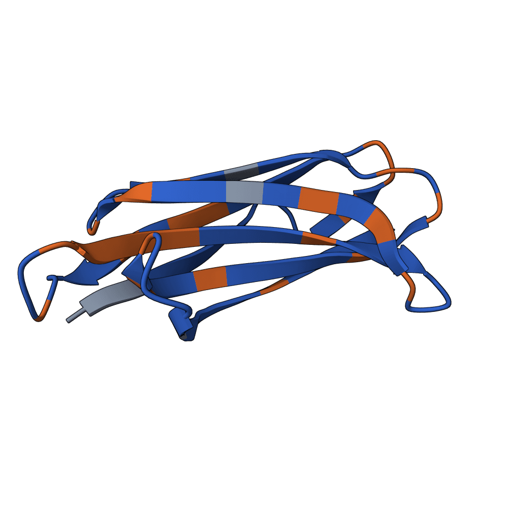 rapid-ram-opal