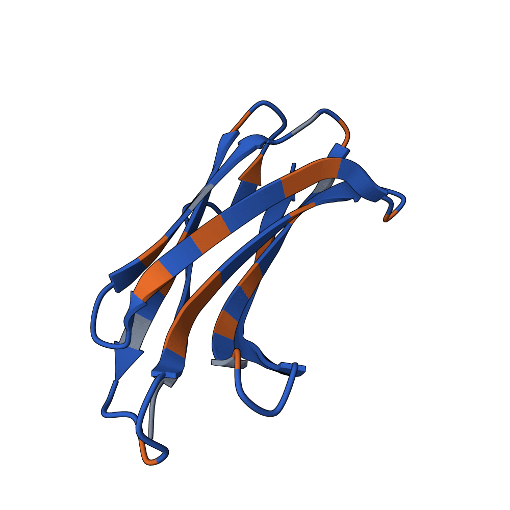solid-gecko-crystal