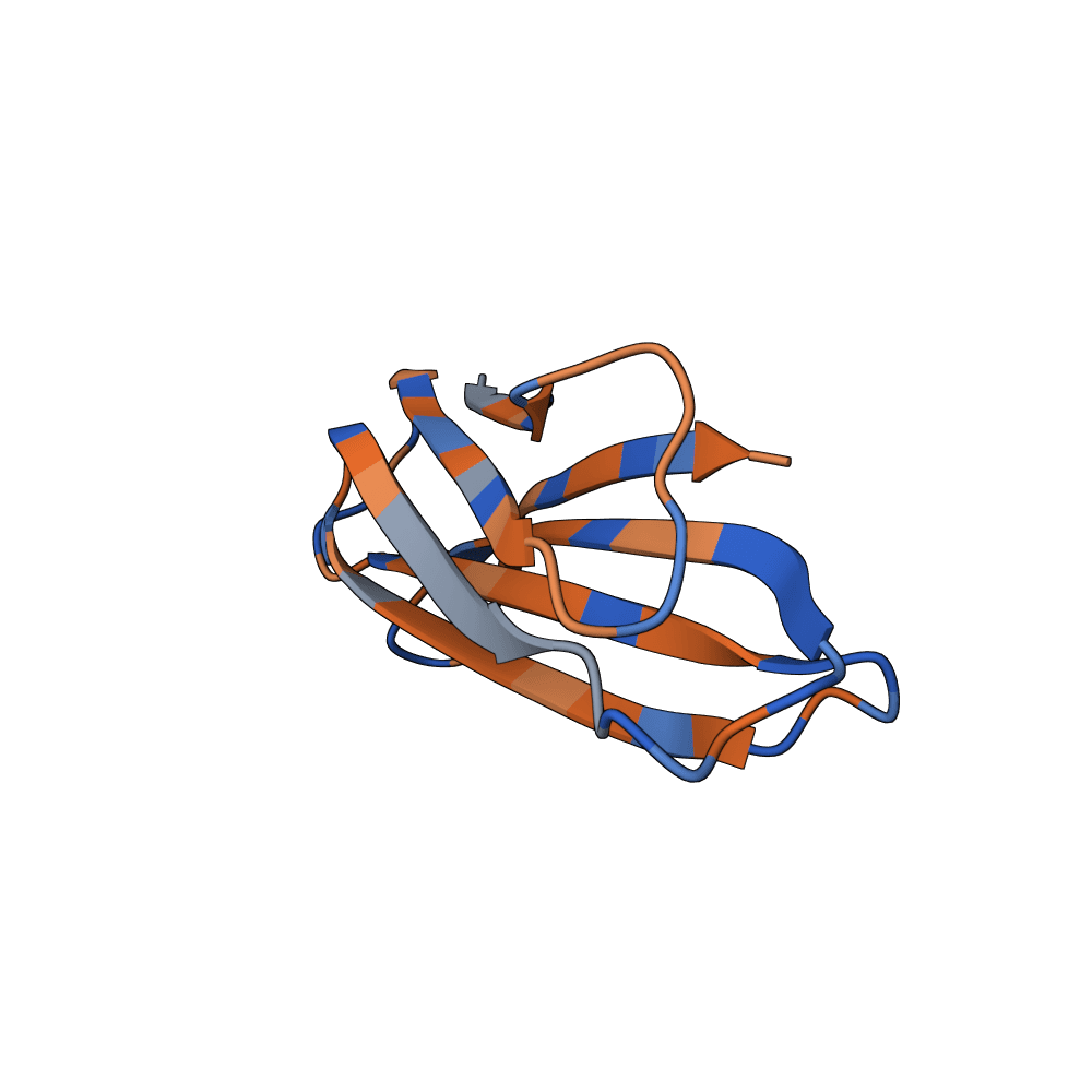 solid-ram-fern