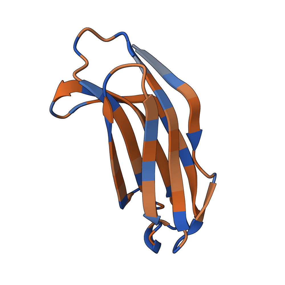 swift-gecko-quartz