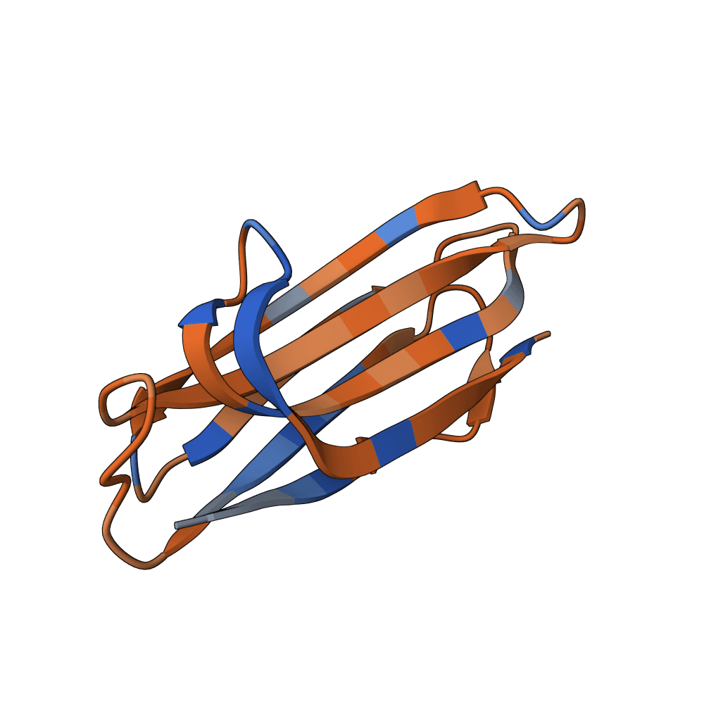 swift-ox-ember