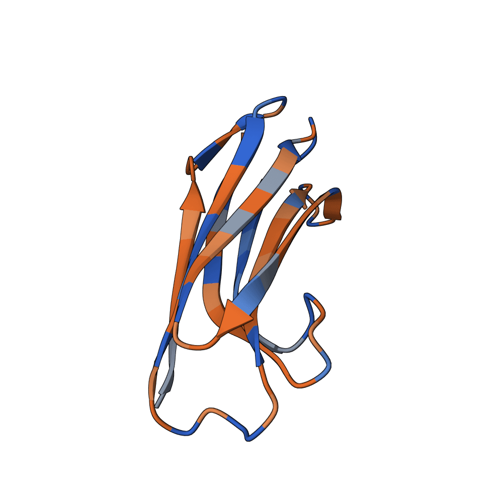vast-ibis-leaf